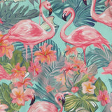 Flamingo Close Up 