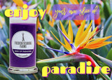 FREDERICKSBURG FARMS Candles