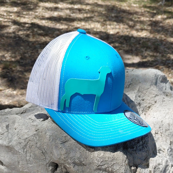 Diamond Bill trucker style hat with AG sheep on crown Turquoise/Wht