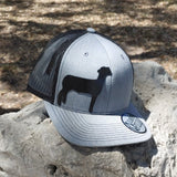 Diamond Bill trucker style hat with AG sheep on crown Grey/Blk