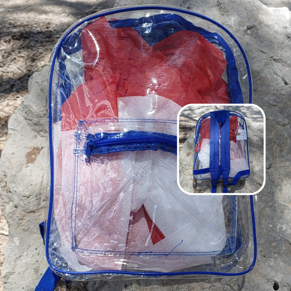 Clear vinyl youth backpack for school royal blue